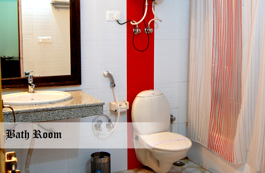 a-star-regency-manali-gallery-big-15