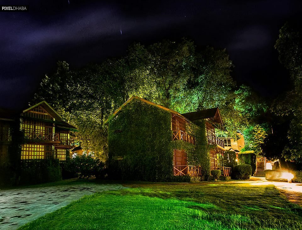 night-view (1)